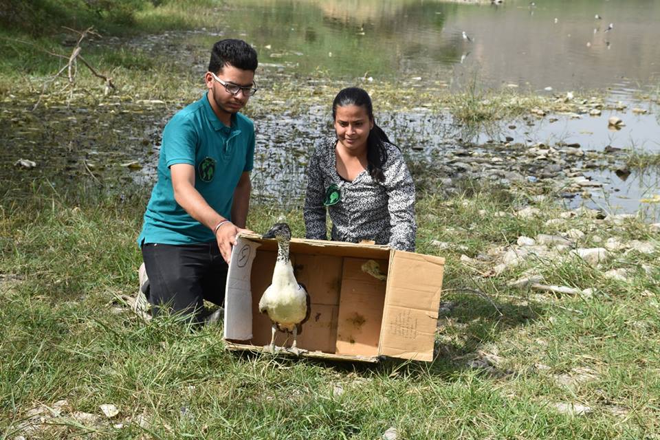 bird shelter project (8)